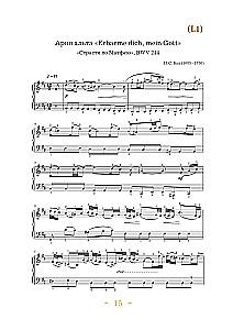 Muzyczne wieczory: Zbiór do dusznego muzykowania