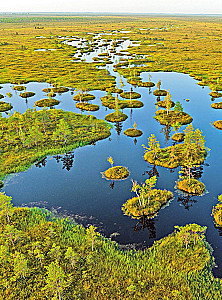 Enchanting Belarus. A Journey Through the Corners of the Country That Stay in the Heart