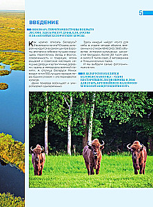 Enchanting Belarus. A Journey Through the Corners of the Country That Stay in the Heart