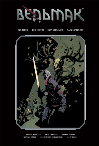 Wiedźmin. Wydanie biblioteczne. Tom 1