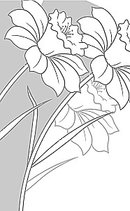 In the Clutches of a Narcissist: A Clinical Psychologist on Destructive Manipulations