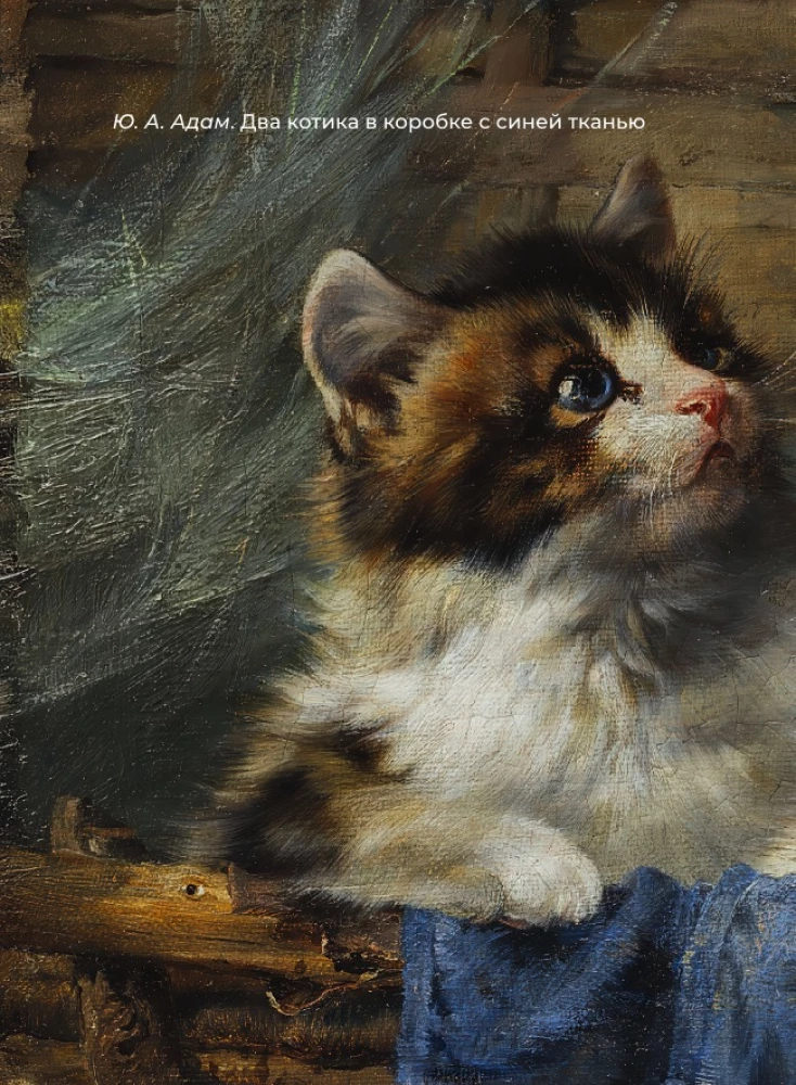 Kittens and Cats. Selected Lyrics with Illustrations