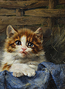 Kittens and Cats. Selected Lyrics with Illustrations