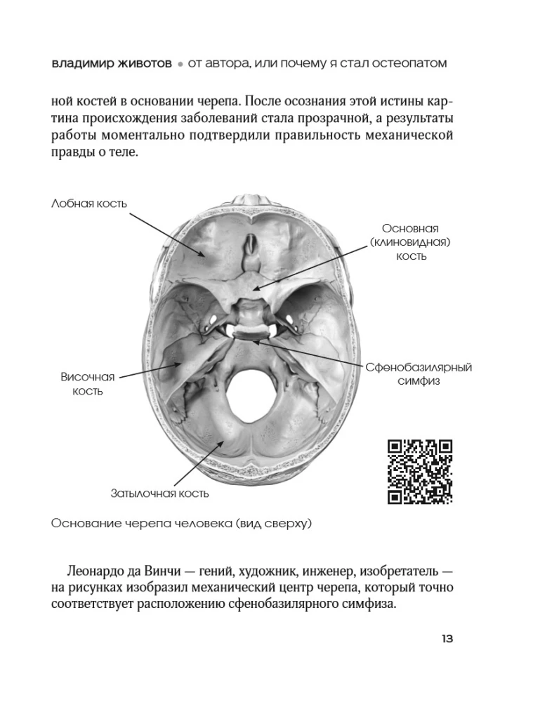 Lebendige Osteopathie. Systemischer Ansatz zur Behandlung offener und verborgener Krankheiten