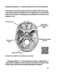 Lebendige Osteopathie. Systemischer Ansatz zur Behandlung offener und verborgener Krankheiten