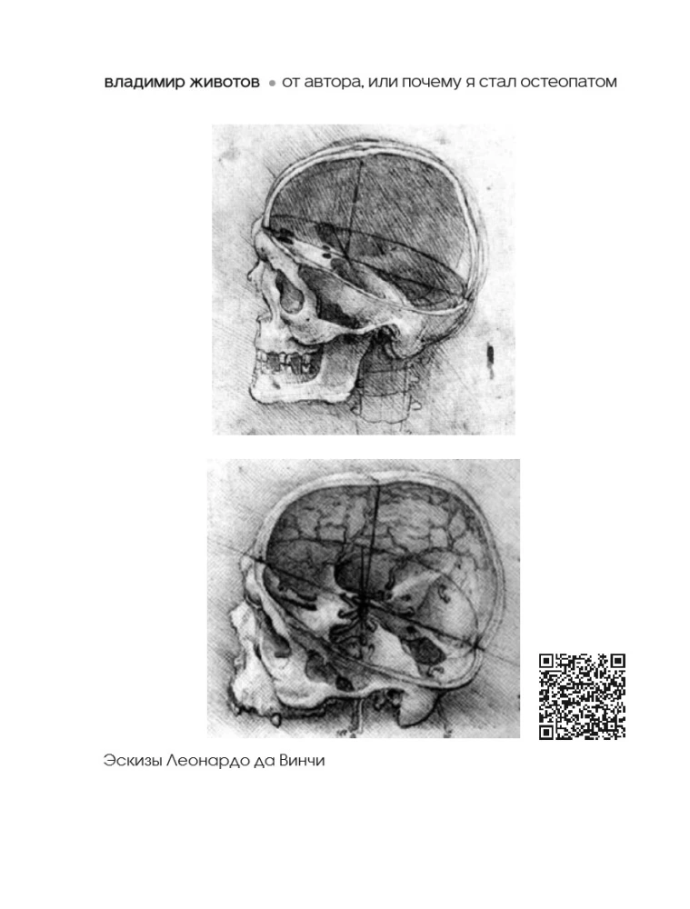 Lebendige Osteopathie. Systemischer Ansatz zur Behandlung offener und verborgener Krankheiten