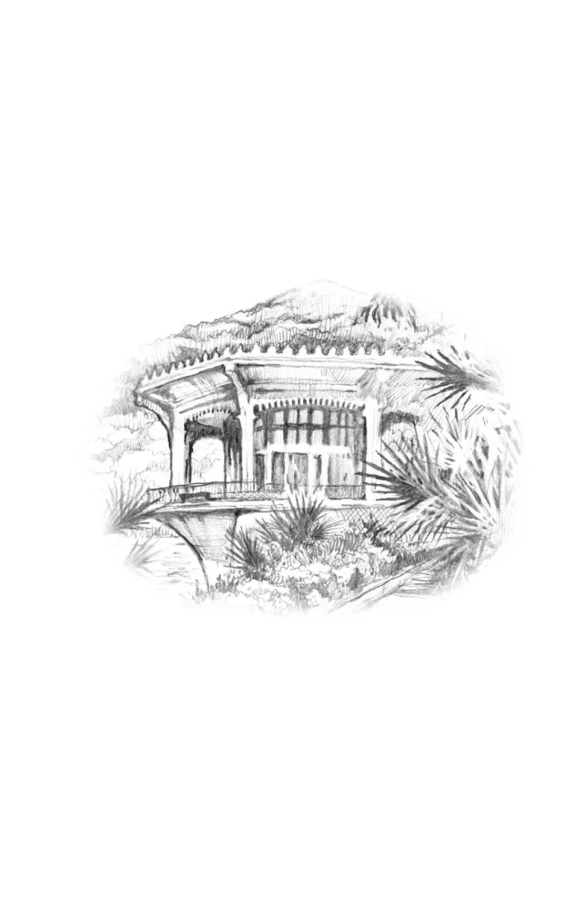 Collected Works. Volume 11. 2023-2024