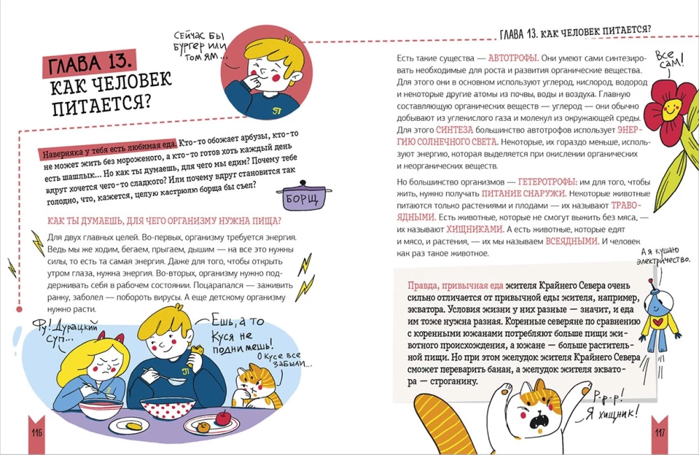 Prawdziwa biologia. Jak działa ciało człowieka