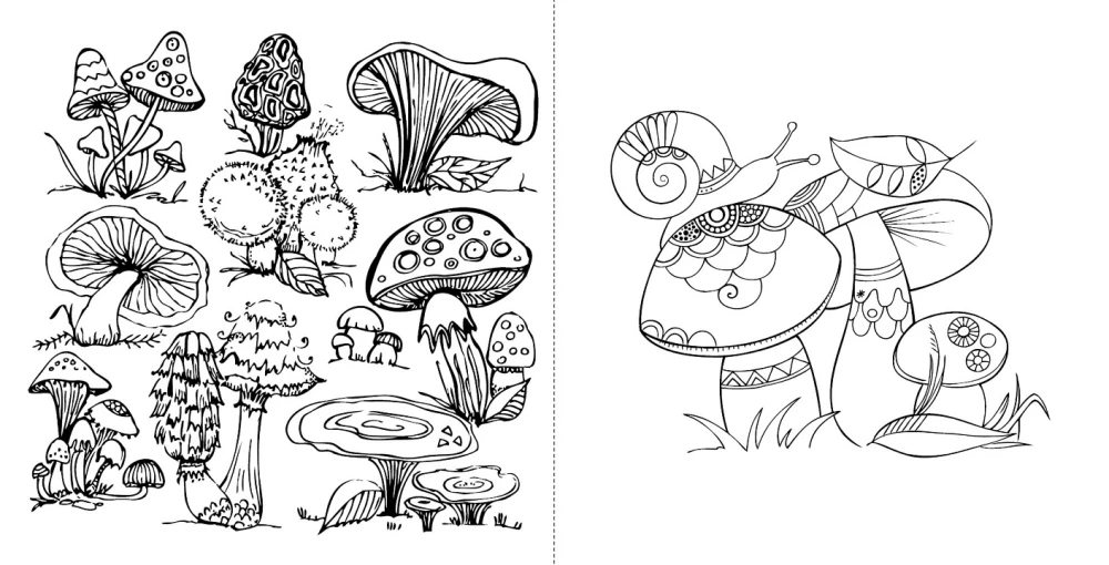 Mano rudens pasivaikščiojimas: Spalvinimas