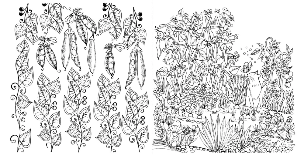 Mano vasaros pasivaikščiojimas: Spalvinimo knygelė