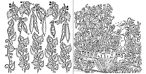 Mano vasaros pasivaikščiojimas: Spalvinimo knygelė