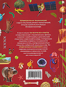 First School Encyclopedia