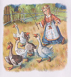 Useful Book for First Reading