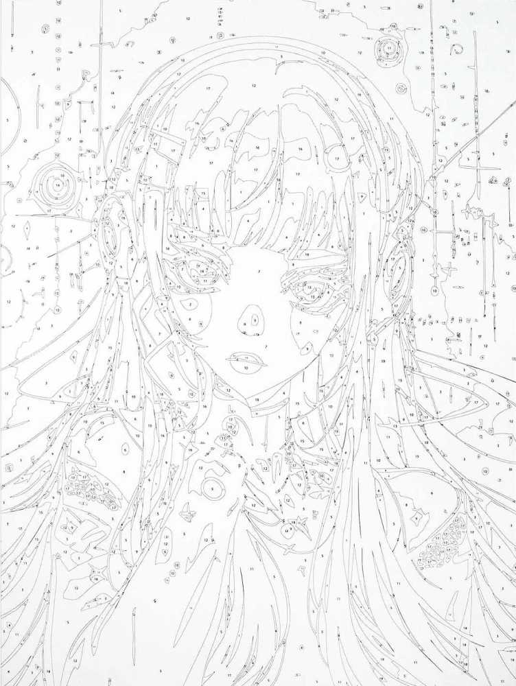 Glezna pēc numuriem - Disco-Anime, 30x40cm