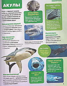 Enzyklopädie über alles. 850 Fragen und Antworten