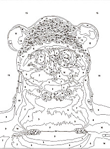 Glezna pēc numuriem - Žurka cepurē, 15x20cm