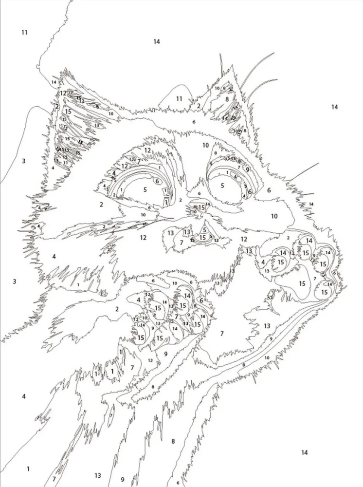 Glezna pēc numuriem - Pūkaini pēdiņas, 15x20cm