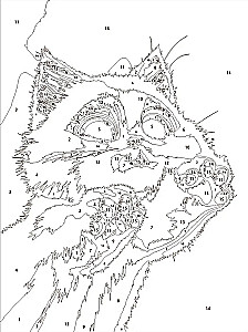 Glezna pēc numuriem - Pūkaini pēdiņas, 15x20cm