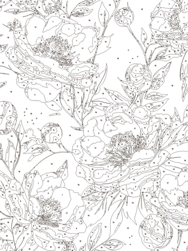 Glezna pēc numuriem - Baltie magones, 30x40cm