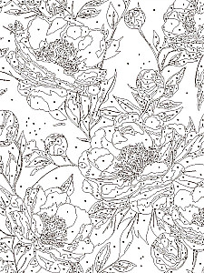 Glezna pēc numuriem - Baltie magones, 30x40cm