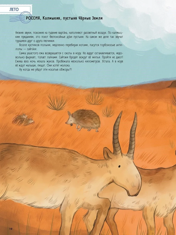 Wüsten: Ein Jahr im Leben des heißesten Bioms