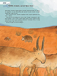 Wüsten: Ein Jahr im Leben des heißesten Bioms