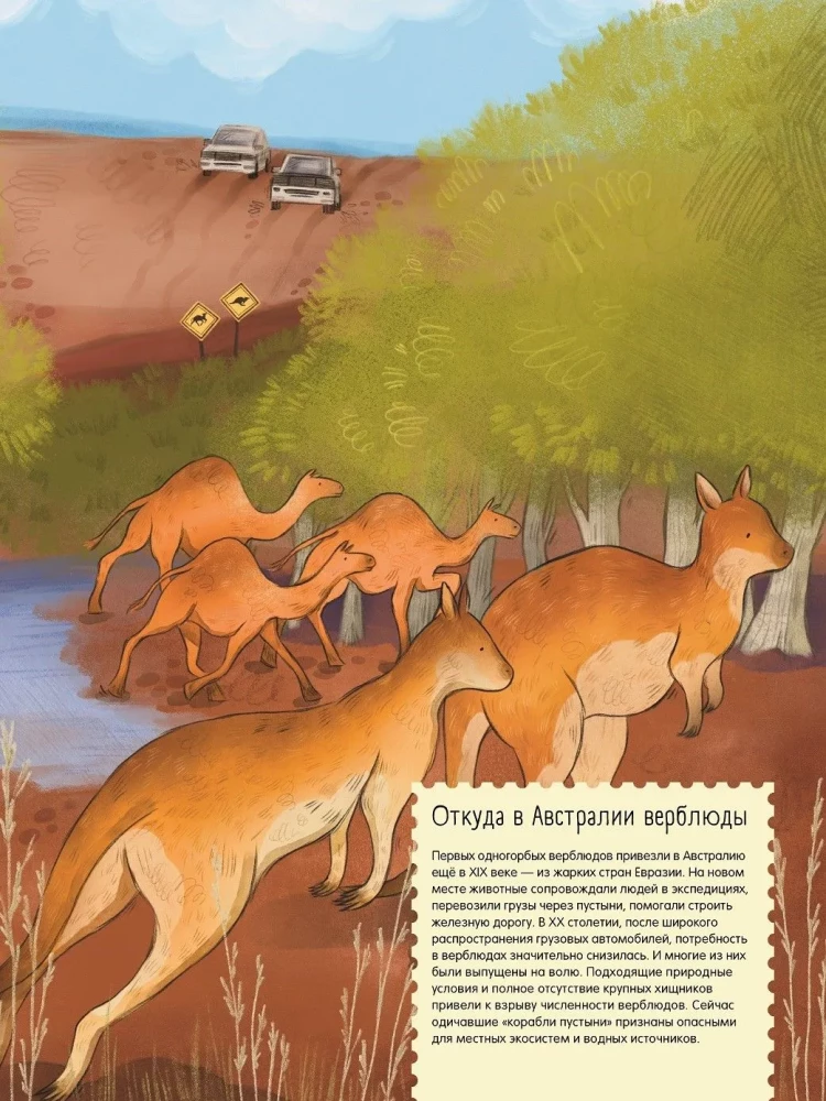 Wüsten: Ein Jahr im Leben des heißesten Bioms