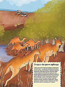 Wüsten: Ein Jahr im Leben des heißesten Bioms