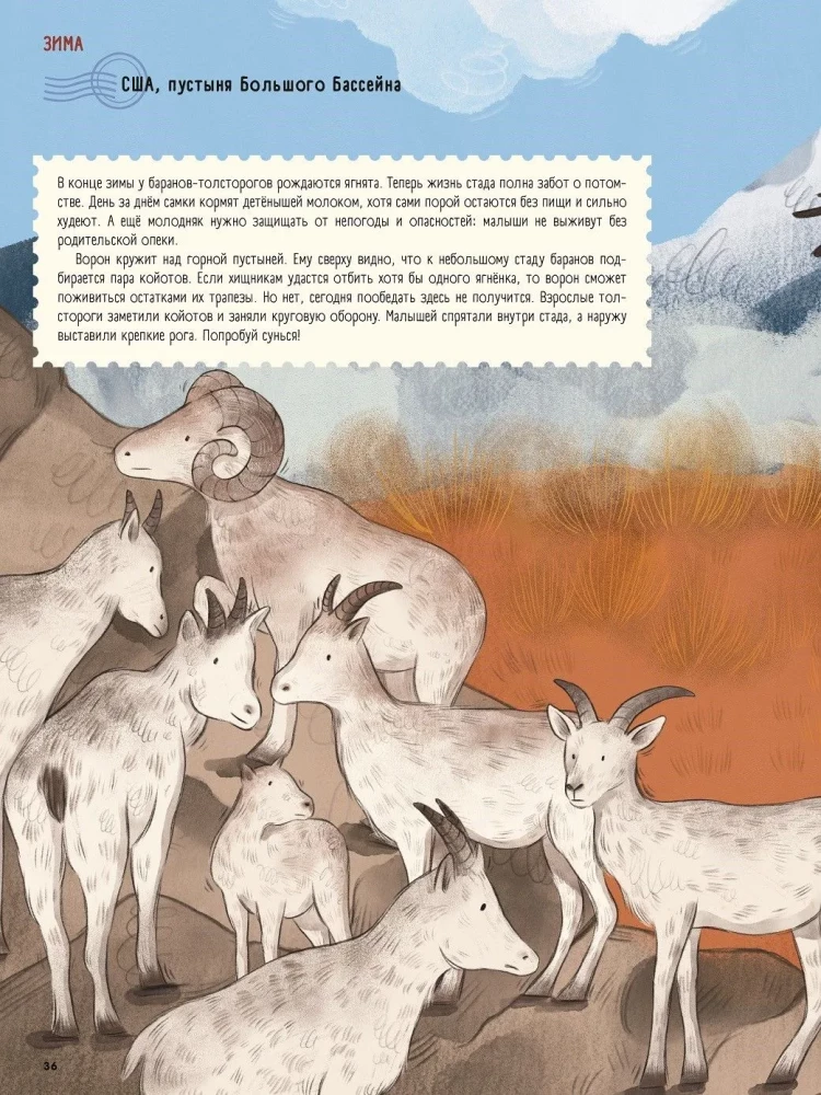 Wüsten: Ein Jahr im Leben des heißesten Bioms