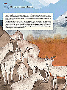 Wüsten: Ein Jahr im Leben des heißesten Bioms