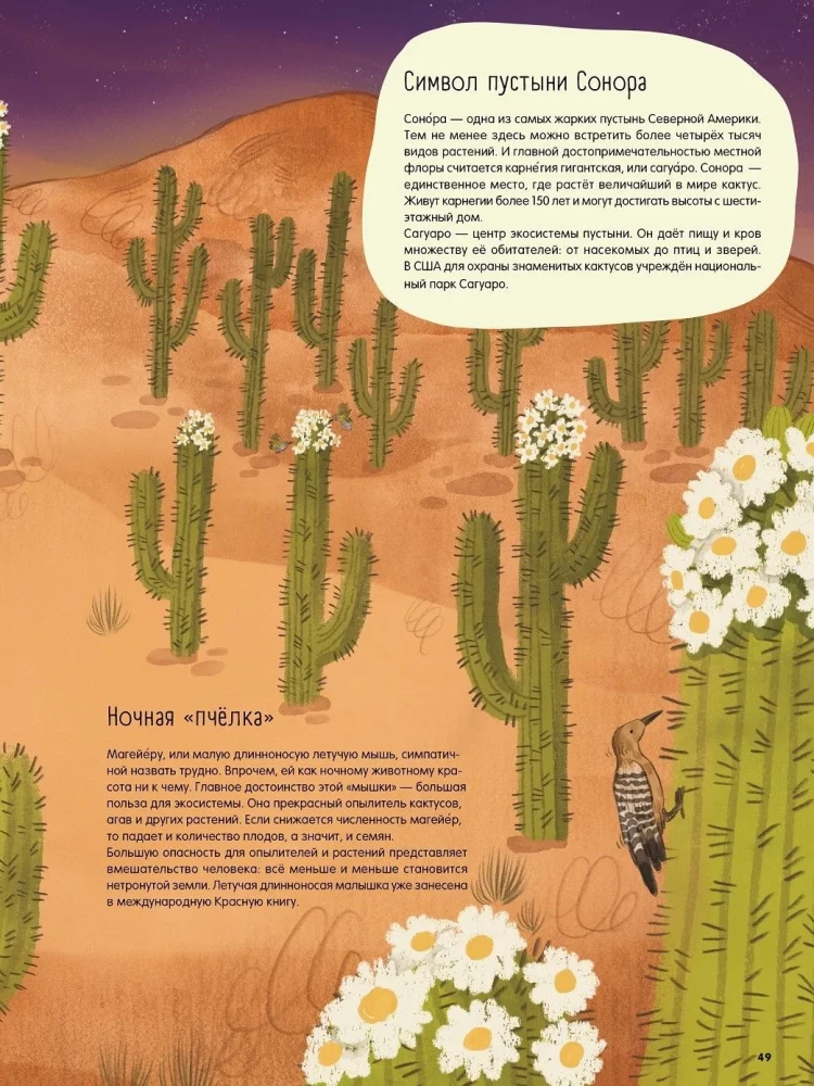 Wüsten: Ein Jahr im Leben des heißesten Bioms