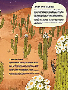 Wüsten: Ein Jahr im Leben des heißesten Bioms