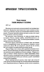 Иранская турбулентность. Сын Йемена. Незнакомец в Сулукуле