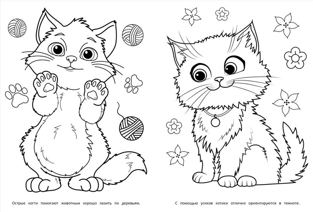 Värviraamat - Sabade sõbrad