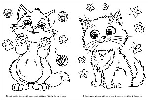 Värviraamat - Sabade sõbrad