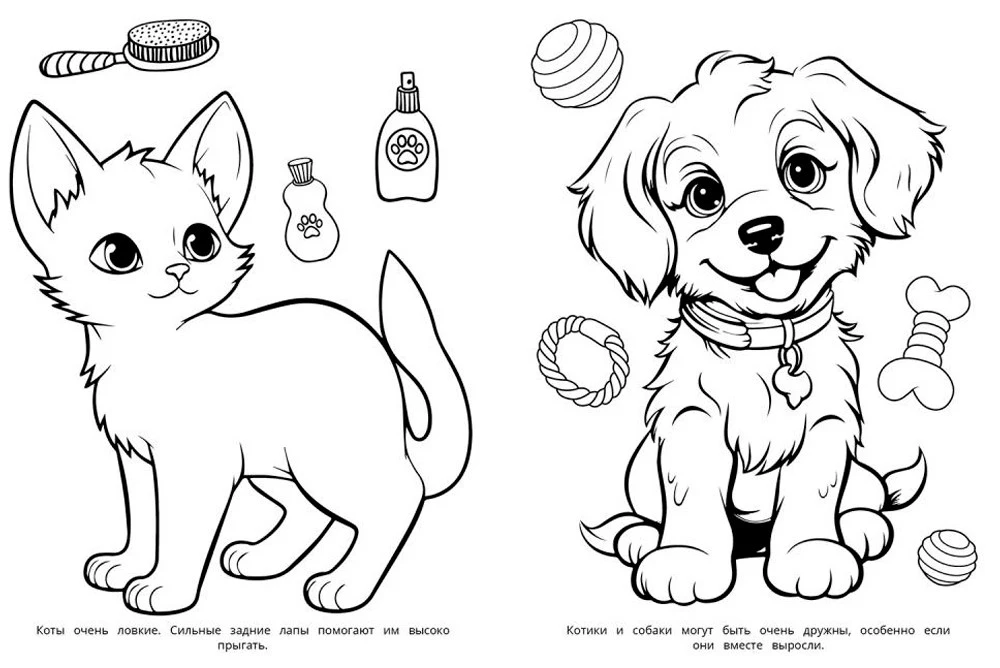 Värviraamat - Sabade sõbrad