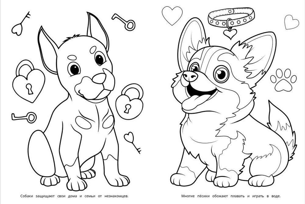 Värviraamat - Sabade sõbrad