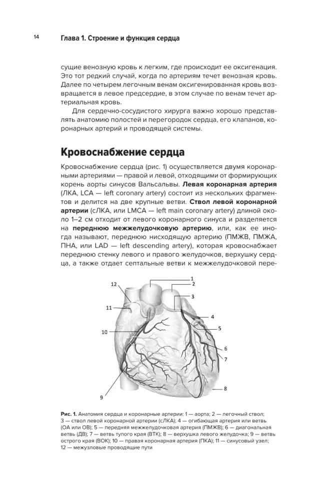 Współczesna kardiochirurgia dorosłych. Dla studentów, rezydentów klinicznych i doktorantów