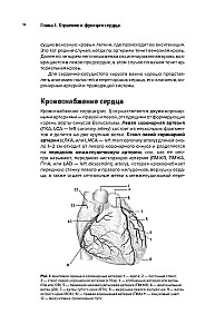 Współczesna kardiochirurgia dorosłych. Dla studentów, rezydentów klinicznych i doktorantów