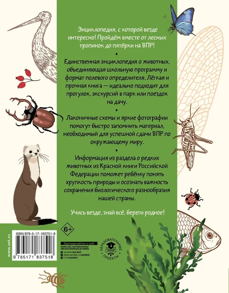 Apmeklējošā pasaule. Dzīvnieki