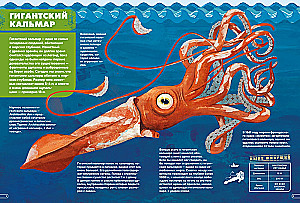Monsters of the Seas and Oceans. Encyclopedia of Underwater Monsters