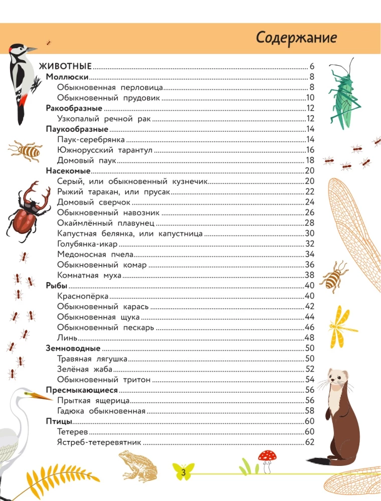 Apmeklējošā pasaule. Dzīvnieki