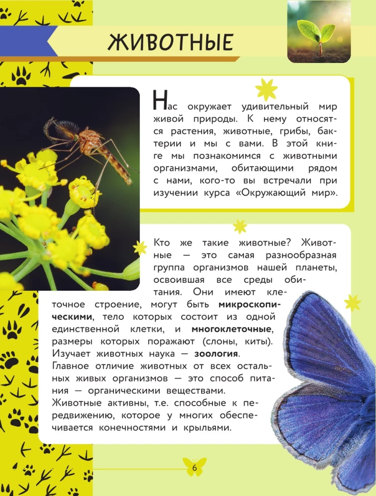 Apmeklējošā pasaule. Dzīvnieki