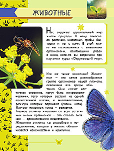 Apmeklējošā pasaule. Dzīvnieki