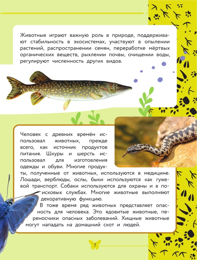 Apmeklējošā pasaule. Dzīvnieki