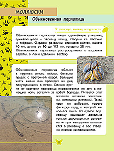 Apmeklējošā pasaule. Dzīvnieki