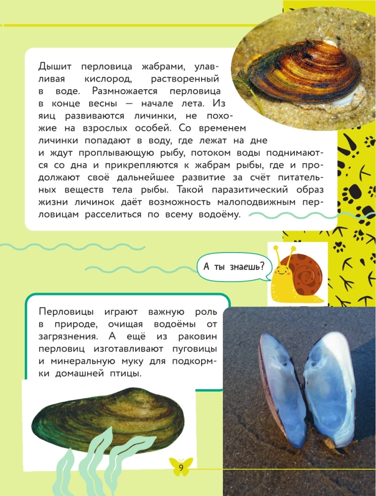 Apmeklējošā pasaule. Dzīvnieki