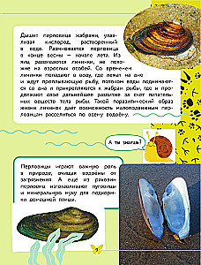 Apmeklējošā pasaule. Dzīvnieki