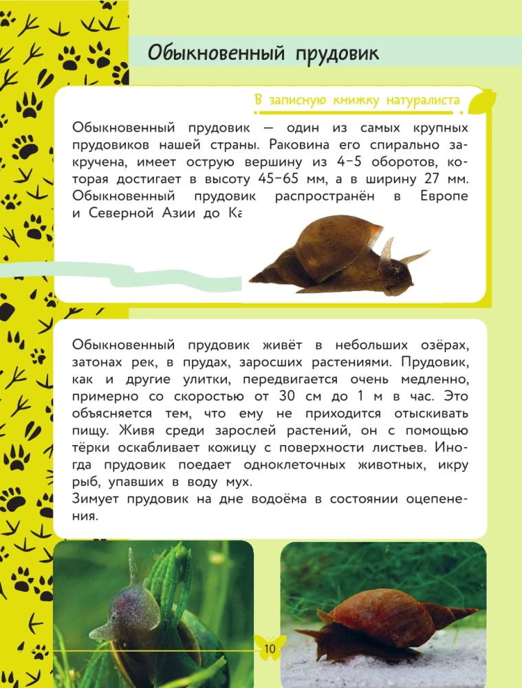 Apmeklējošā pasaule. Dzīvnieki