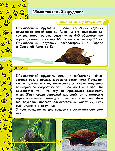 Apmeklējošā pasaule. Dzīvnieki